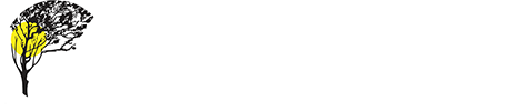 Holder3